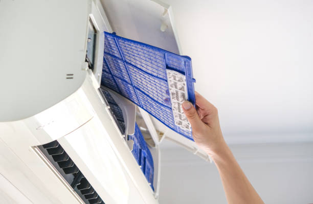 Best Ductwork Cleaning Services  in Boaz, WV